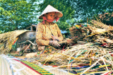 Mức trợ cấp hưu trí xã hội cho người cao tuổi tăng từ 1/7/2025