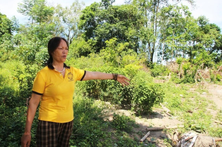 Nghệ An: Chuyển 300m² đất vườn sang đất ở, người dân phải nộp thuế gần 4,5 tỷ đồng