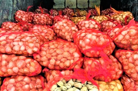 Quảng Ninh: Thu giữ và tiêu hủy gần 17 tấn ngao, hàu không rõ nguồn gốc