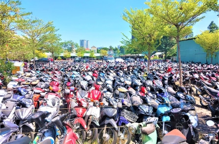 Quốc hội cho phép bán tang vật vi phạm hành chính từ tháng 7/2025