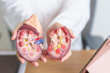 Suy thận sớm ở người trẻ: Một phần lý do đến từ gia đình