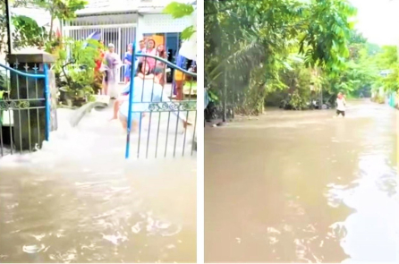 TP. Huế nhận 160 tấn giống lúa từ nguồn dự trữ quốc gia sau bão số 1