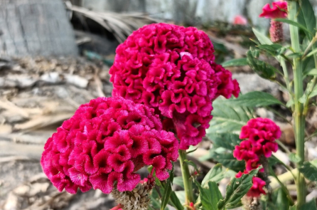 Mong muốn tốt hơn – muốn tốt hơn cho người khác