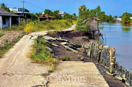 Cà Mau: Xã Thanh Tùng ghi nhận 23 vụ sạt lở đất năm 2025