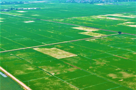 Đề xuất giảm tiền sử dụng đất nông nghiệp sang đất ở xuống 30-50%