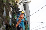 EVN lãi hơn 8.200 tỷ đồng năm 2024