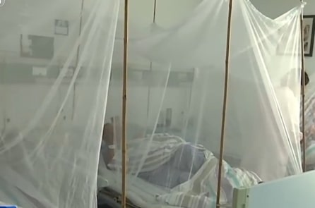 Sốt Chikungunya lan rộng khắp 12 thành phố ở Quảng Đông- Trung Quốc