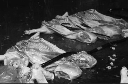 Hà Nội: Bắt giữ 4 người liên quan đến đường dây tiêu thụ thịt lợn nhiễm bệnh