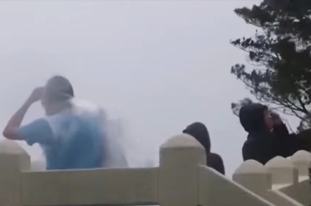 Bão Wipha tấn công Hồng Kông và miền nam TQ, hàng trăm chuyến bay bị hủy