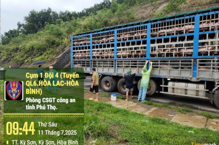 Hàng chục tấn lợn sống nhiễm bệnh được đưa đi tiêu thụ tại Hà Nội, Hải Phòng