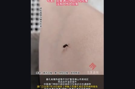 Dịch sốt Chikungunya bùng phát ở Quảng Đông, hơn 4.000 ca trong chưa đầy 10 ngày