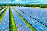 Khởi tố cựu Phó cục trưởng Cục Thuế Ninh Thuận vì chưa truy thu hơn 73 tỷ đồng thuế