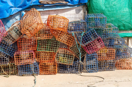 Cà Mau: Nam thanh niên 17 tuổi bị dây lú kéo xuống biển tử vong