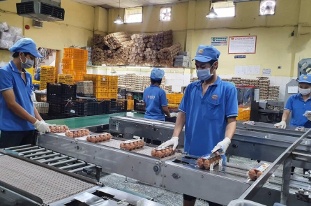 Lương tối thiểu vùng dự kiến tăng 7,2% từ đầu năm 2026