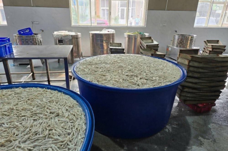 Hơn 13 tấn chân gà đông lạnh tại Thanh Hóa: Gần 7 tấn đang ngâm chất độc để tẩy trắng