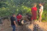 Nam tài xế cùng du khách cứu bé trai bị vùi trong hố cát