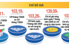 CPI tháng Bảy: 9/11 nhóm hàng hóa, dịch vụ đồng loạt tăng