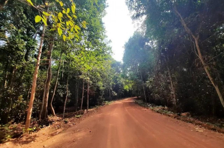 Đại Quang Minh đề xuất cầu cạn 11.000 tỷ đồng qua rừng Mã Đà