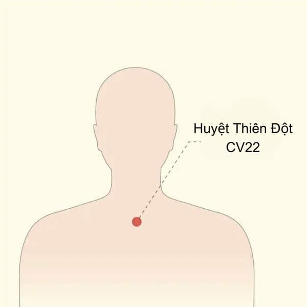 huyetthiendot
