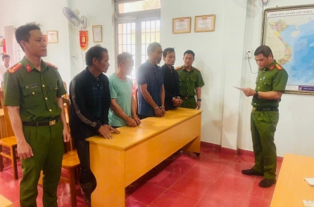 Khởi tố 4 người cưa hạ trái phép 68 cây thông cổ thụ ở Lâm Đồng