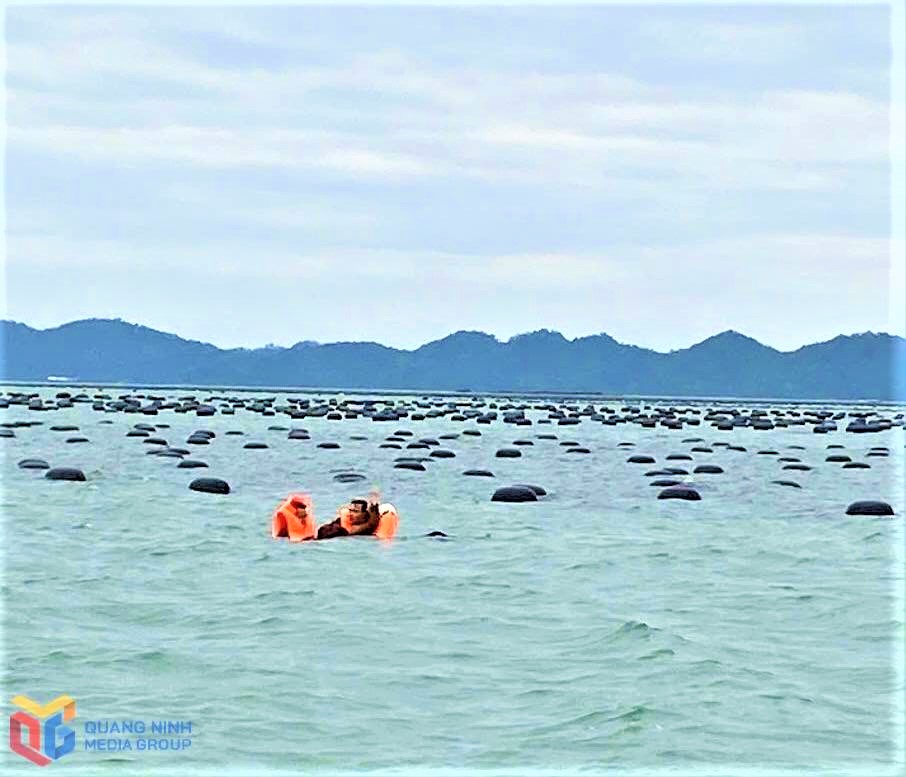 lat be cho 17 nguoi tren bien quang ninh 2 nguoi tu vong 2