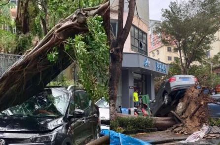 [Video] Bão Kajiki quét qua Trung Quốc, Tam Á hứng chịu bão mạnh nhất gần 40 năm qua