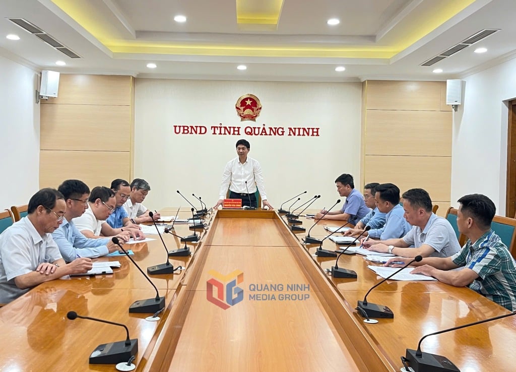 quang ninh xay dung he thong giam sat tau thuyen 24 24 gio tren vinh ha long