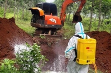 Quảng Trị tiêu hủy hơn 3.000 tấn lợn do dịch tả lợn châu Phi