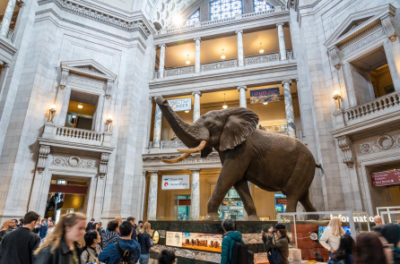 Tổng thống Trump ra lệnh xem xét “văn hóa thức tỉnh” tại các bảo tàng Mỹ