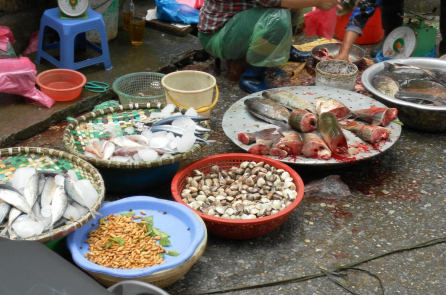 Hà Nội xóa bỏ chợ cóc, điểm giết mổ gia súc, gia cầm trên địa bàn trong năm 2025