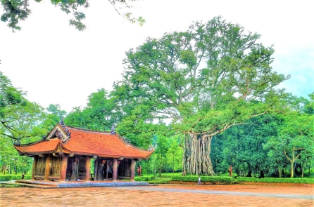 Thanh Hóa chi 81 tỷ đồng phục dựng Thái Miếu và đền bà Hàng Dầu tại Lam Kinh