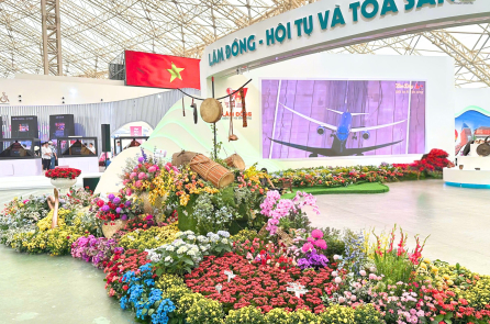 Lệnh “cấm vận hoa” của TP.HCM cần đánh giá từ hai chiều