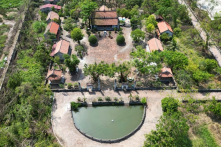 Chuyện Thái phó Ngô Lý Tín đánh dẹp loạn quân, giữ yên dân