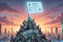 60% thị thực H-1B dành cho công việc liên quan đến máy tính