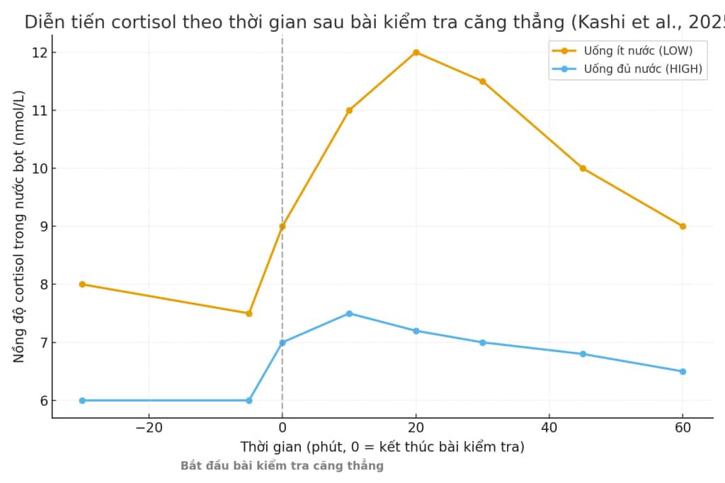 bieu do cortisol timecourse viet hoa thap