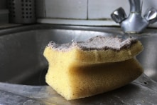 10 vật dụng hàng ngày là nơi trú ngụ của vi khuẩn