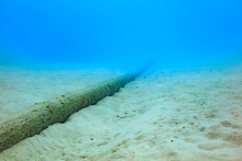 Đứt cáp quang ở Biển Đỏ, internet tại nhiều nước châu Á và Trung Đông bị gián đoạn