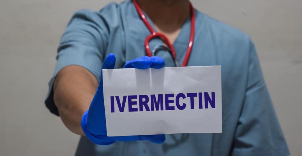 r shutterstock 2639143493
