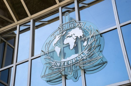 Interpol: 260 nghi phạm lừa đảo tình cảm trực tuyến đã bị bắt giữ tại Châu Phi