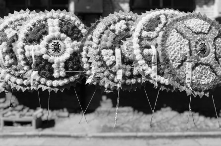 Trung Quốc: Chỉ nửa năm, 40 học giả trẻ và trung niên qua đời