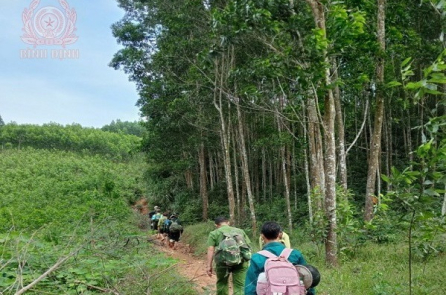 Tỉnh Gia Lai chuyển đổi 2ha rừng phòng hộ thành mỏ khai thác đất san lấp