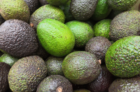 Làm sao để bảo quản bơ được lâu và giữ nguyên hương vị?