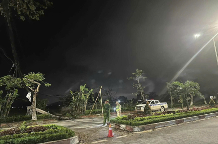 Vướng dây cáp quang sa xuống đường, nguyên chủ tịch xã tử vong