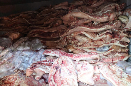 Chủ lò mổ trữ 38 tấn thịt nhiễm dịch tả lợn châu Phi chờ bán