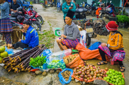 Sơn La tính đưa 5.000 người đi xuất khẩu lao động