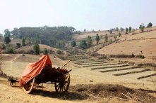 Rùng rợn nghi lễ ‘kết nghĩa’ của gia tộc Ngụy: Sát nhân để tế trời tại Myanmar