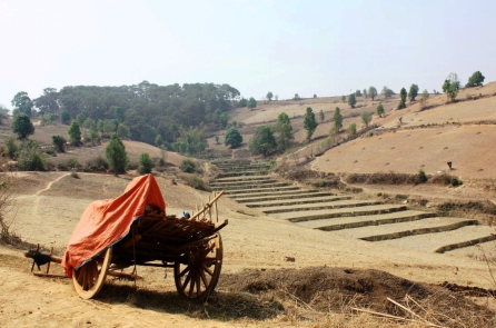 Rùng rợn nghi lễ ‘kết nghĩa’ của gia tộc Ngụy: Sát nhân để tế trời tại Myanmar