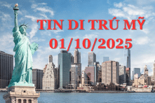 Tin di trú 1.10: FBI bắt 4 di dân Portland vì chiếu tia laser làm mù máy bay