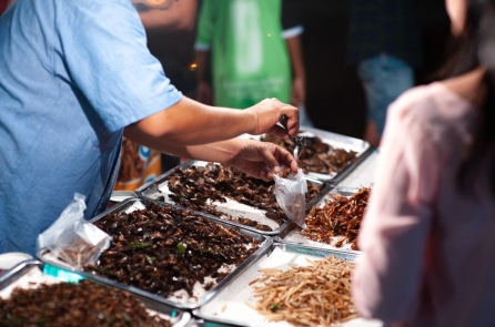 Ái chà! Dám ăn “Nhện tơ hồng cháy tỏi” không?