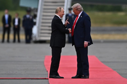 Các chính trị gia châu Âu bị ‘Bố Trump ngó lơ’ – Nghị sĩ MEP người Hungary